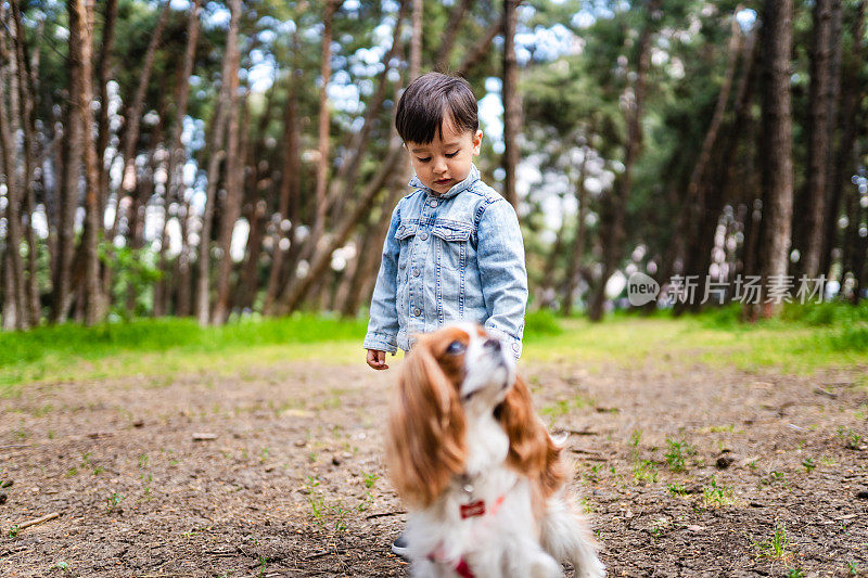 可爱的小男孩和查理士王猎犬在大自然中漫步