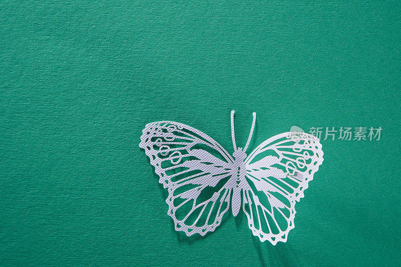 手工蝴蝶剪纸，绿色背景