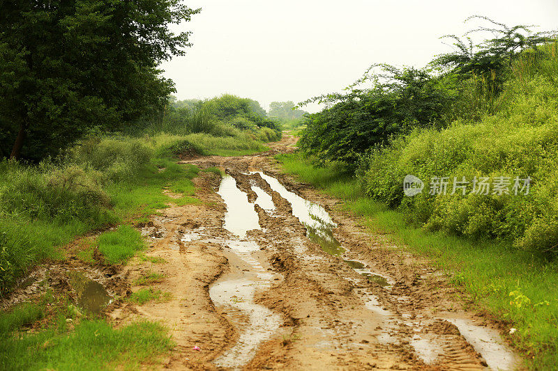 远离人迹罕至的道路!