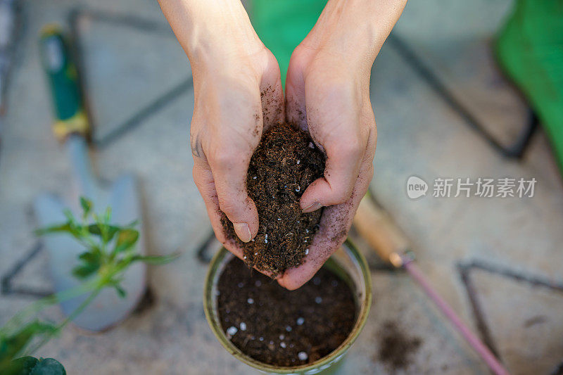 靠近人类的手，种植