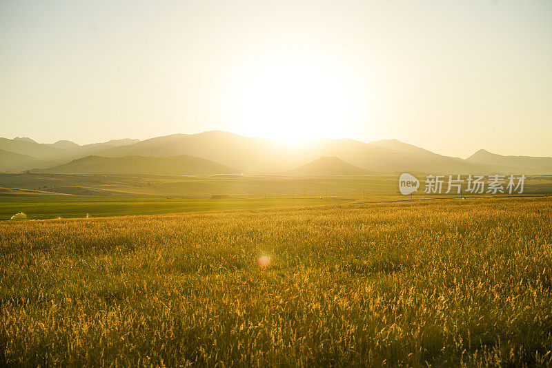 蒙大拿农村