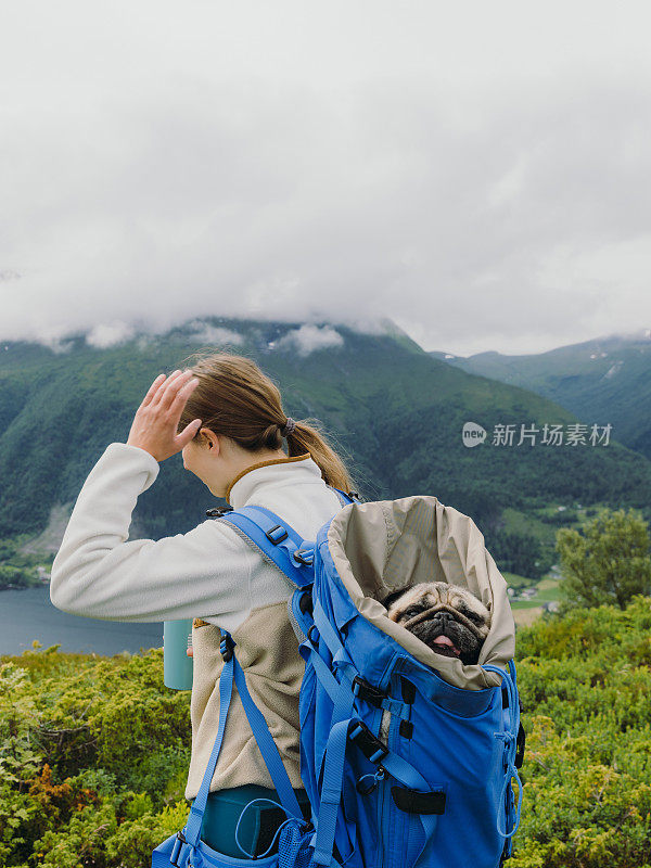 侧视图的妇女与她的狗在背包徒步旅行在挪威的山区