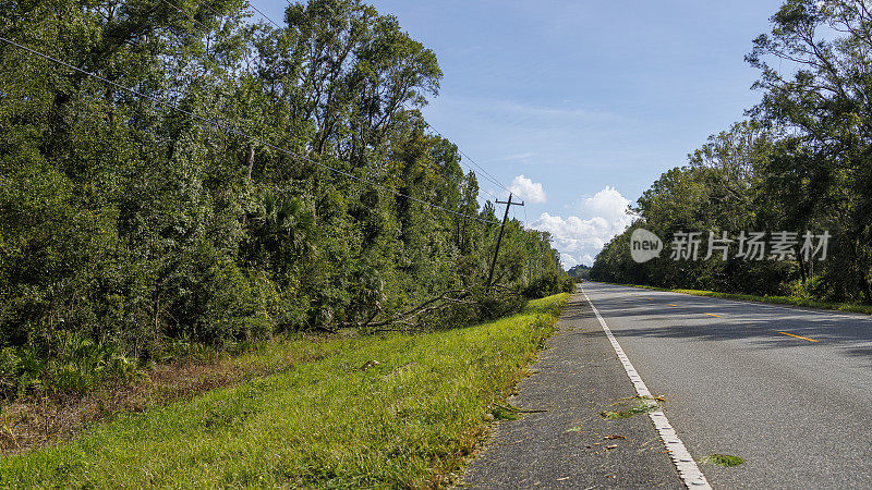 自然灾害后公路停电:倒下的树木使道路上的电线倾斜。飓风登陆后的路边问题