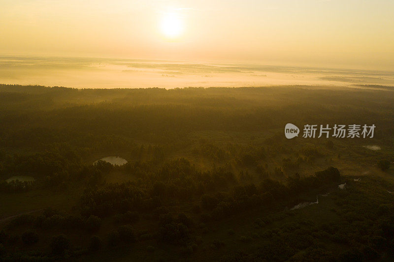 晨雾鸟瞰图。大气景观无人机摄影。可持续性。热带雨林