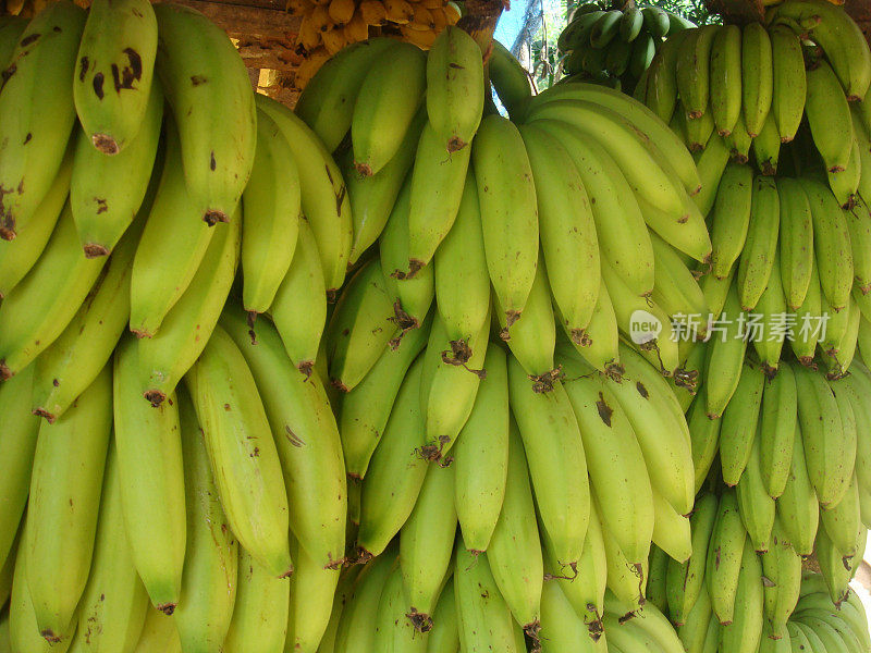 斯里兰卡水果和蔬菜摊上的香蕉