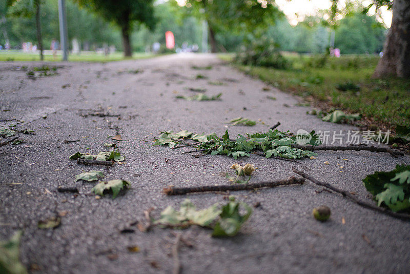 暴风雨过后潮湿的小路上的树叶和小树枝