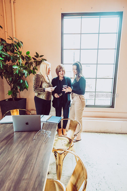 工作中的女性，三名女性企业家，商业伙伴，同事或客户和代理商