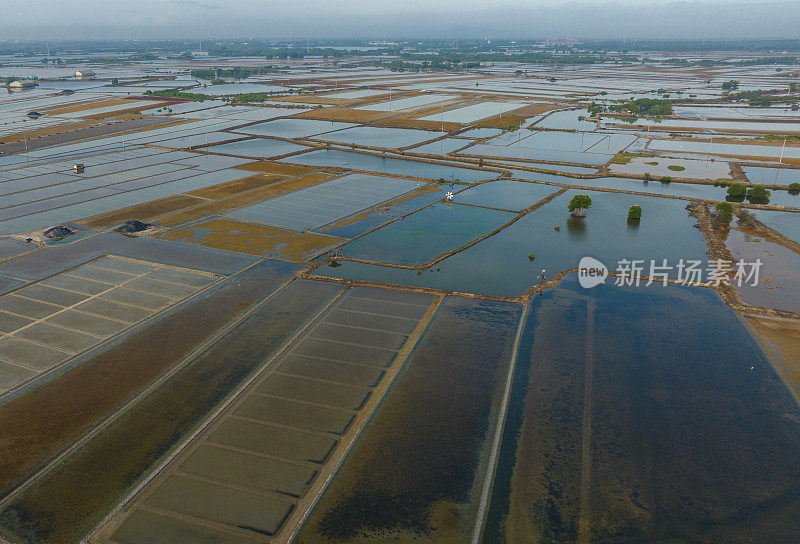 巴里亚头省盐田的航空照片