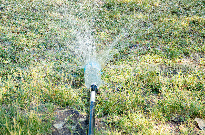纳米比亚库内地区埃托沙国家公园Okaukuejo营地的临时洒水装置