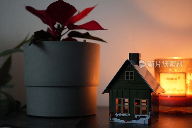 一品红植物，香屋和蜡烛，圣诞装饰