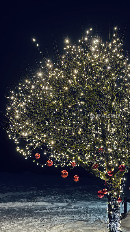 圣诞树，在夜晚被点亮，红色的小玩意