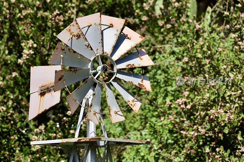 蔬菜园里生锈的金属风车