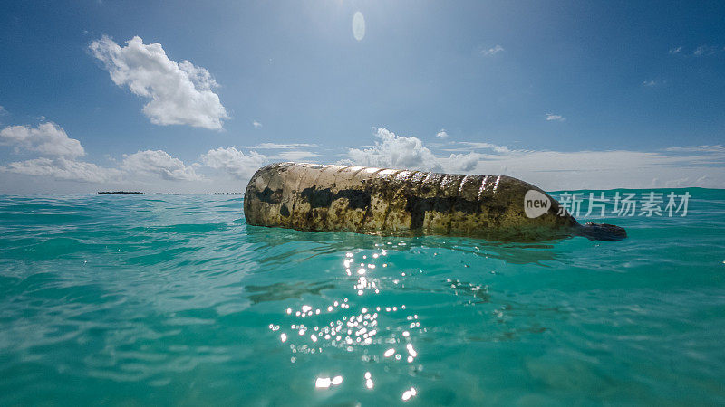 生锈的旧塑料瓶漂浮在海面上