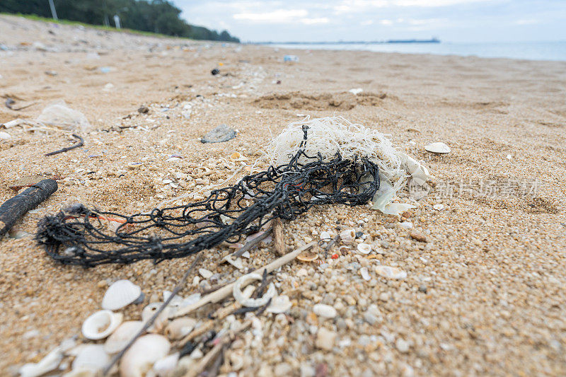 人类在海滩上丢弃的各种塑料垃圾导致了环境问题，影响了沿海生物生态系统。