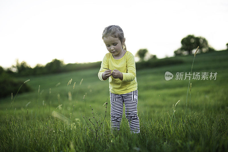 阳光下的乐趣。日落时自然的快乐孩子，复制空间。