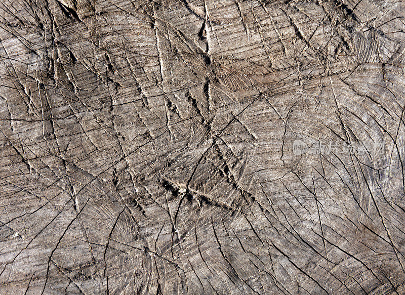 抽象的用斧头切割老树表面的划痕。