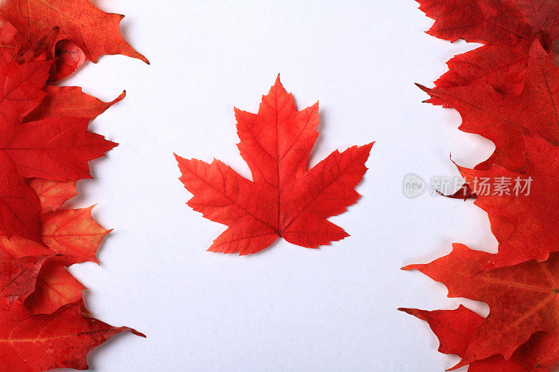 加拿大枫叶旗
