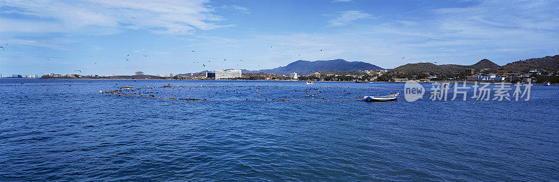 加勒比海全景