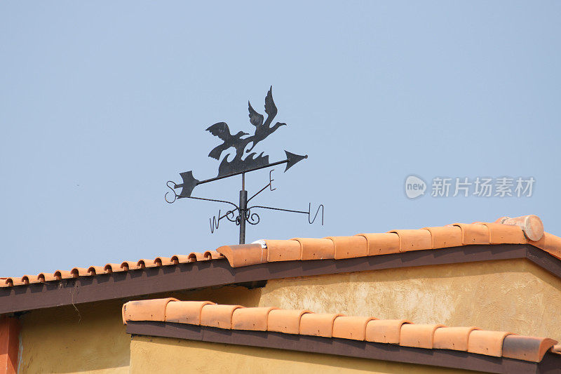 鸟在屋顶上作风向标