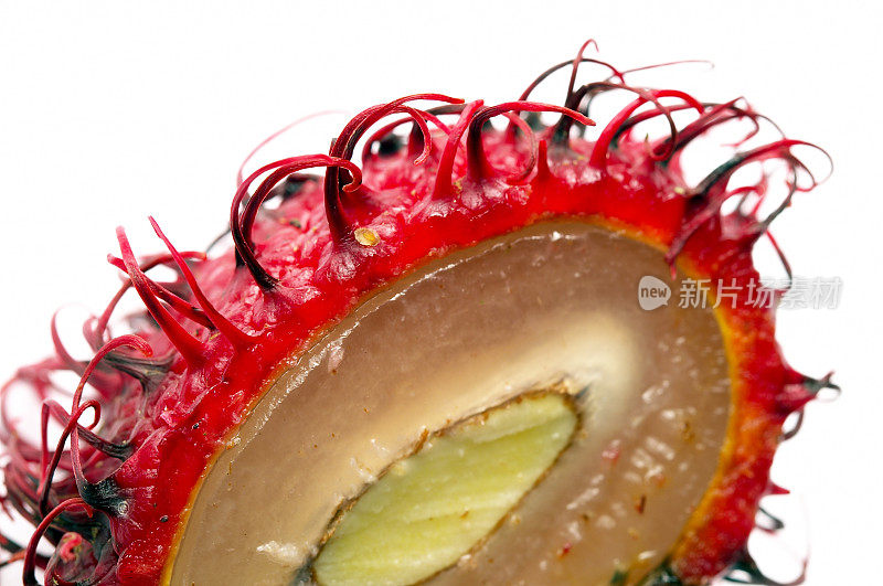红毛丹-异国水果