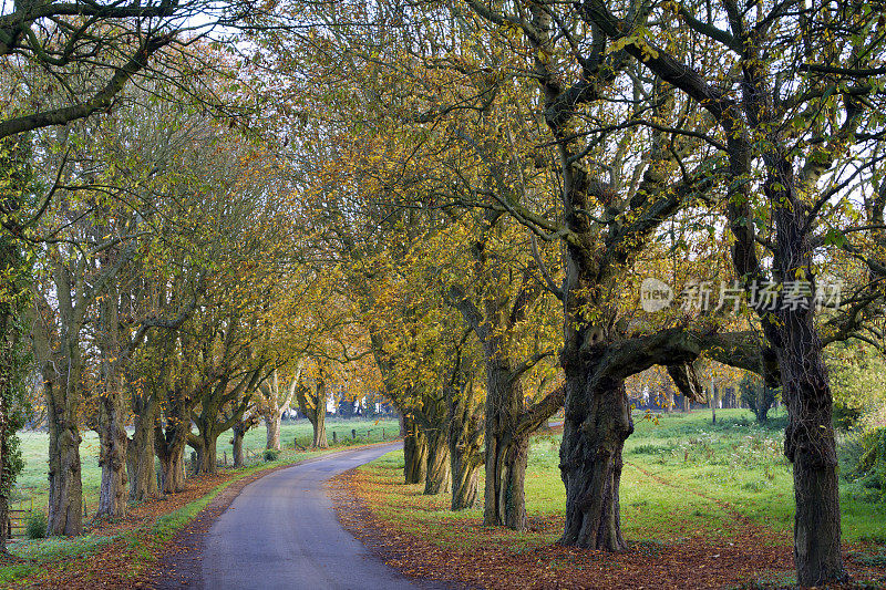 风景如画的Cotswolds-Autumn