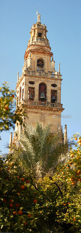 科尔多瓦Mosque-Cathedral