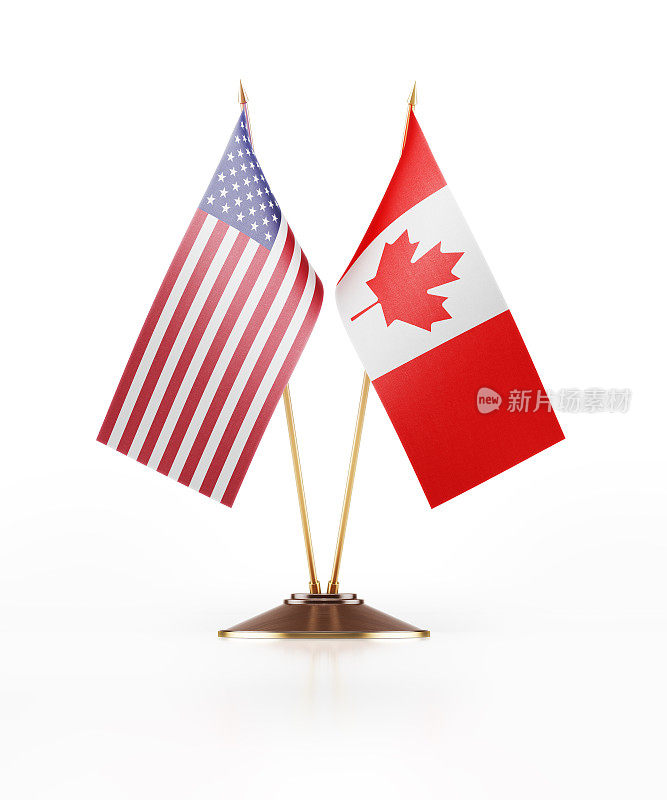 美利坚合众国和加拿大的微型国旗