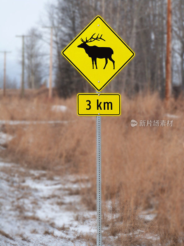 黄色麋鹿十字标志道路交通安全高速公路旅行警告