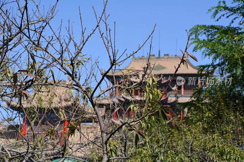 高庙的树枝覆盖，宁夏中卫地区