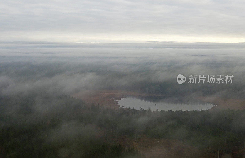 雾笼罩湖泊和森林的航拍图