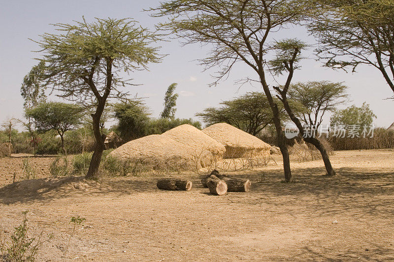埃塞俄比亚的非洲干草堆