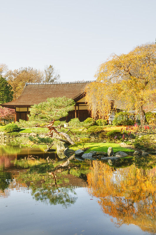 费城日本房子和花园的秋天颜色