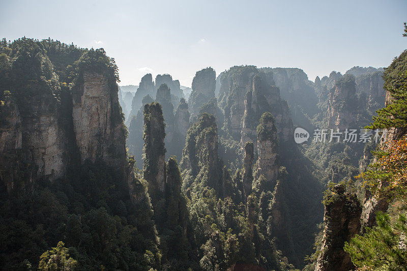 砂岩柱，张家界国家森林公园，中国