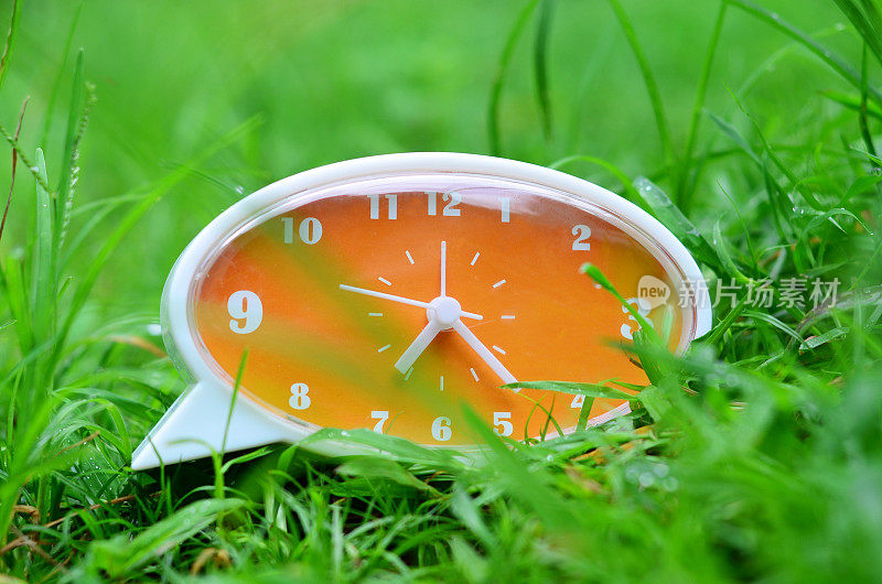 生物钟;时间的本质