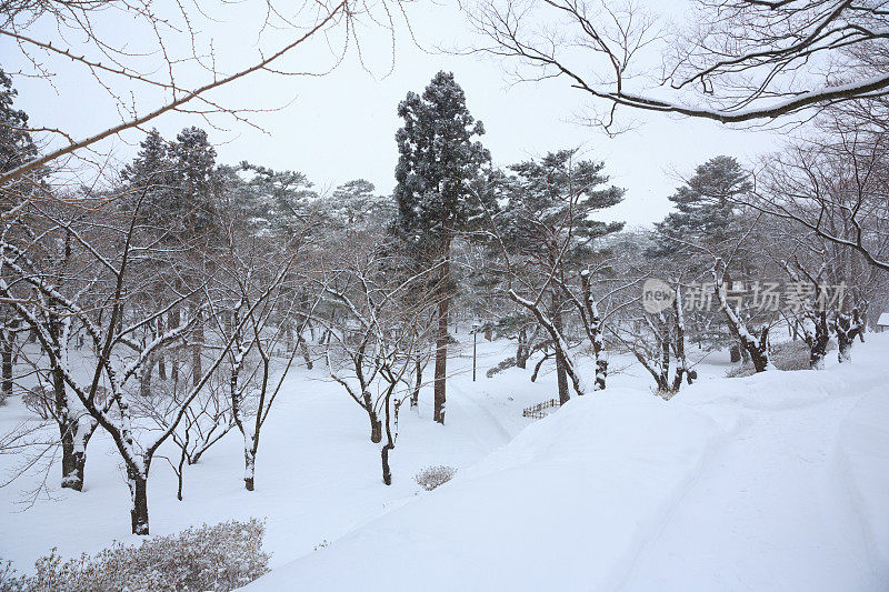 日本的冬季景观