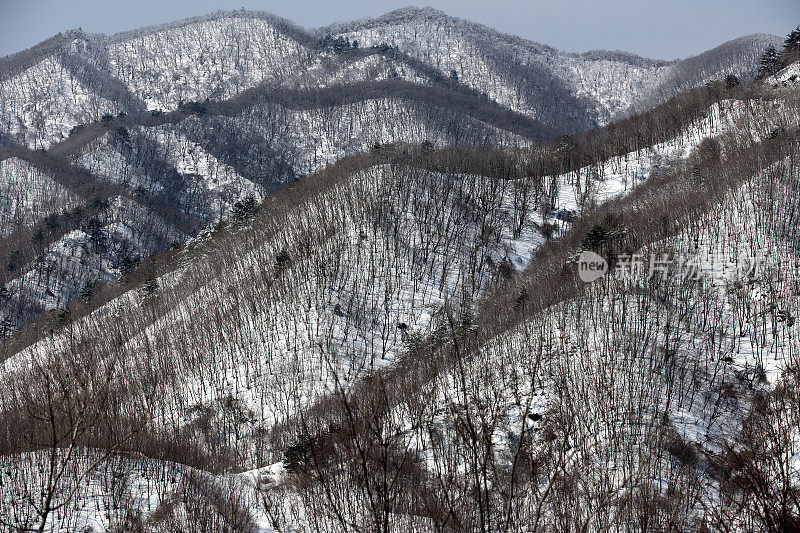 韩国平昌江原道的冬季景观。