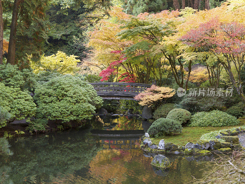 秋天的颜色与池塘人行桥日本花园波特兰俄勒冈