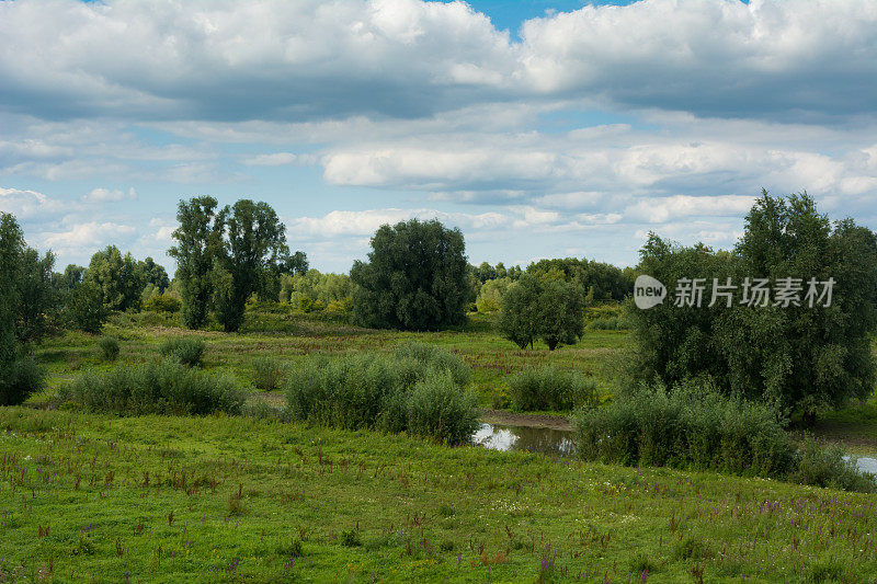 下莱茵河自然保护区