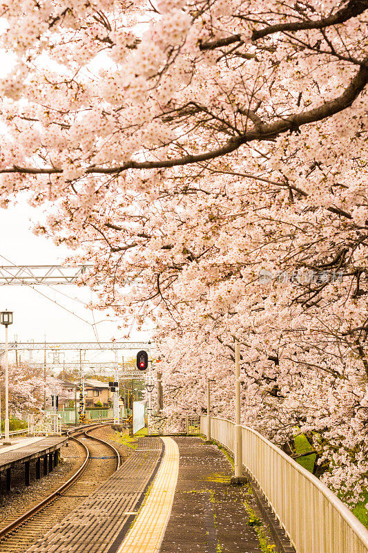 日本京都岚山站