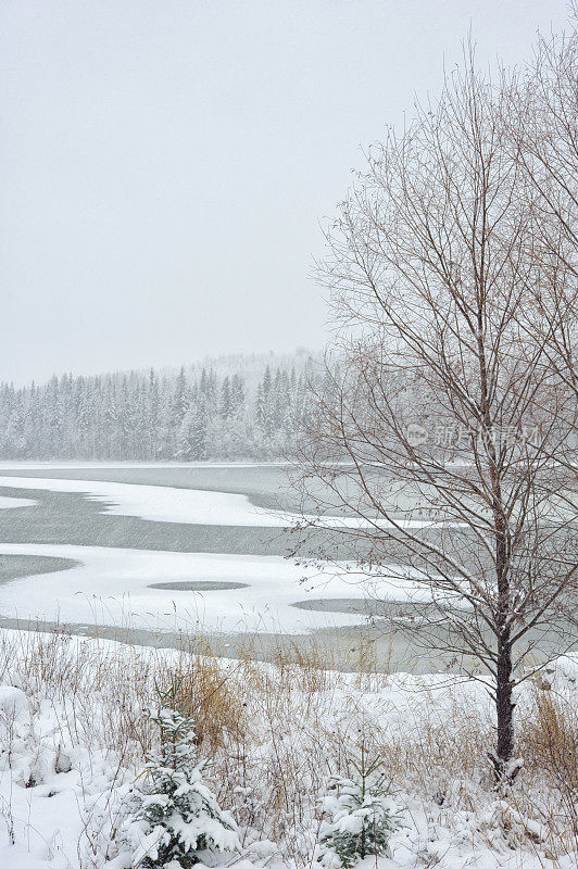 湖岸正在下雪