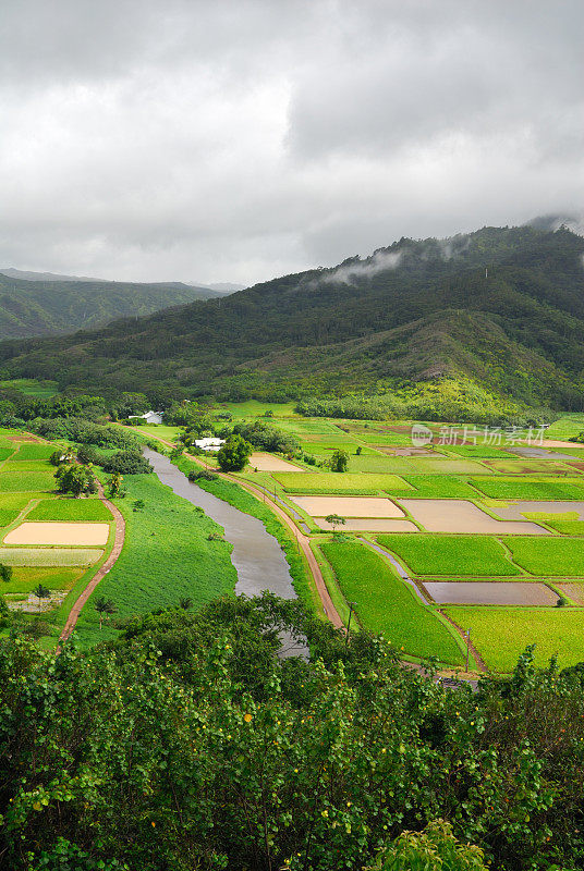 哈纳雷谷