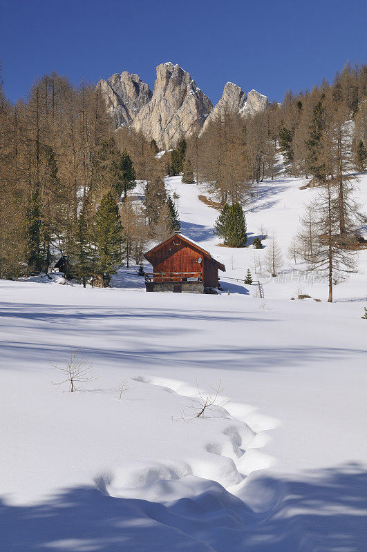 森林中的小屋(意大利Dolomites)