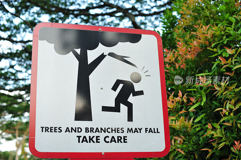 小心掉落的树枝