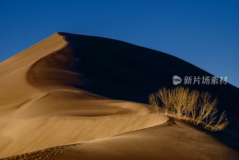 布鲁诺沙丘州立公园