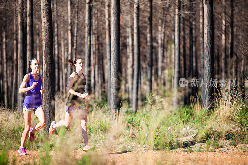 两个女运动员在森林里享受晨跑
