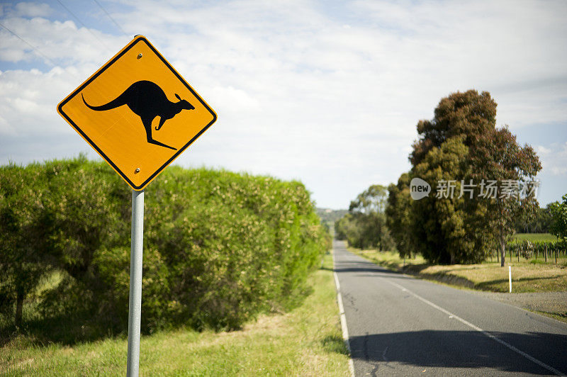 袋鼠过马路标志在澳大利亚维多利亚州