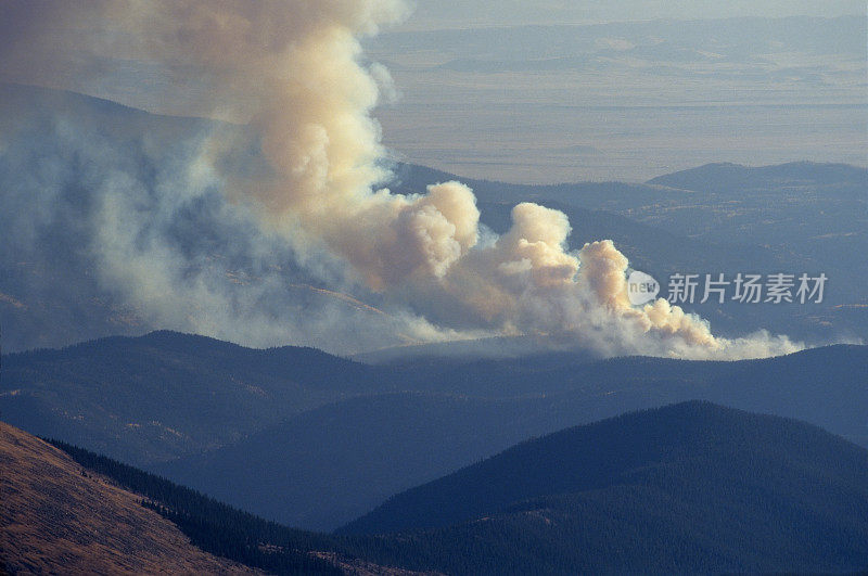 科罗拉多州埃文斯森林大火，浓烟滚滚