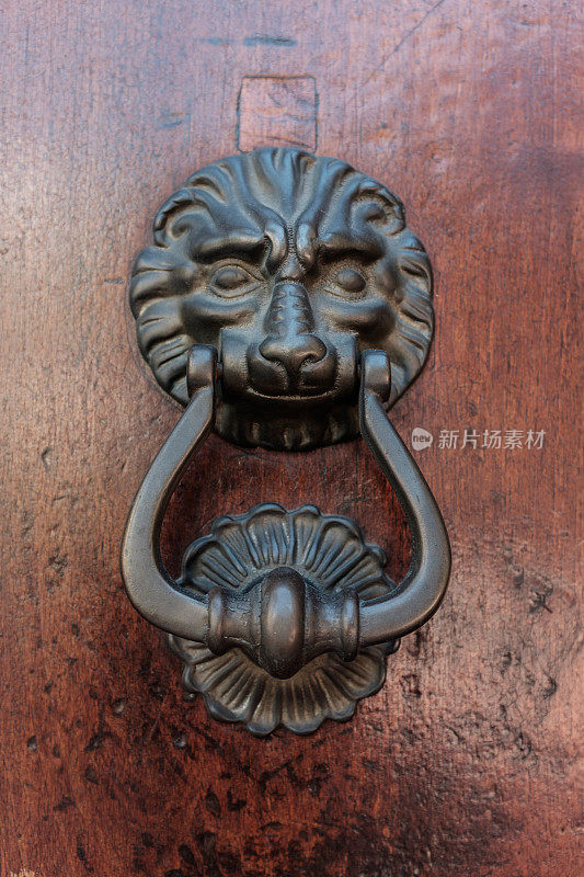 西班牙的狮子形状的门环