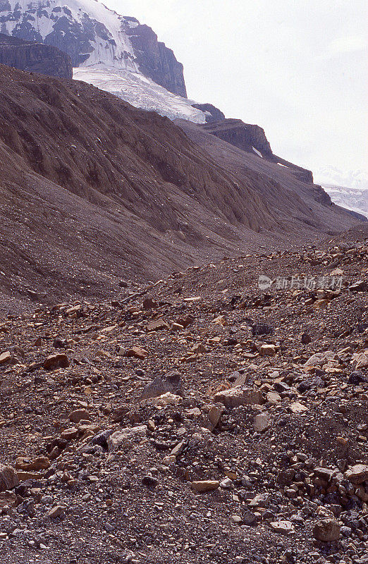 加拿大阿尔伯塔省贾斯帕国家公园阿萨巴斯卡冰川碎片侧碛