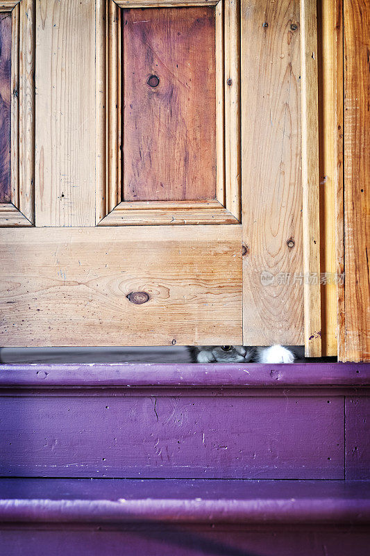 小猫在紧闭的门下窥视，老家。